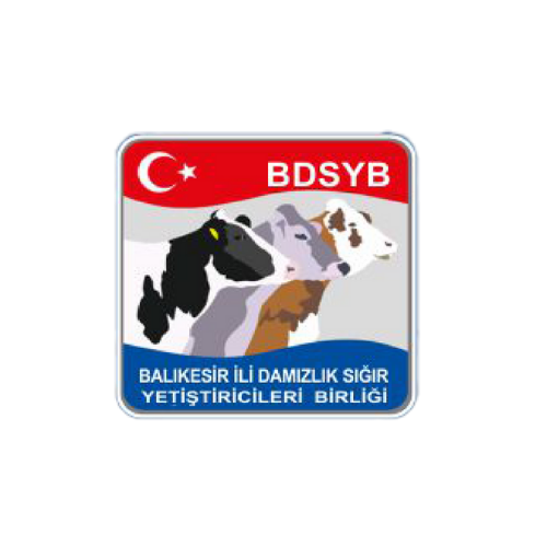 Partner Organization 11